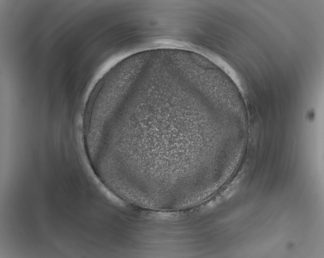 X0000116771381201001141441