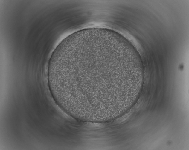 X0000116771382201001141441