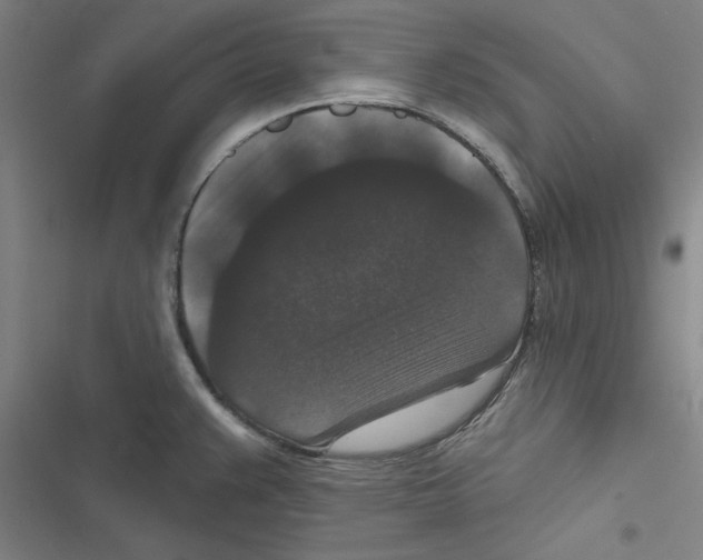 X0000116771383201001141441