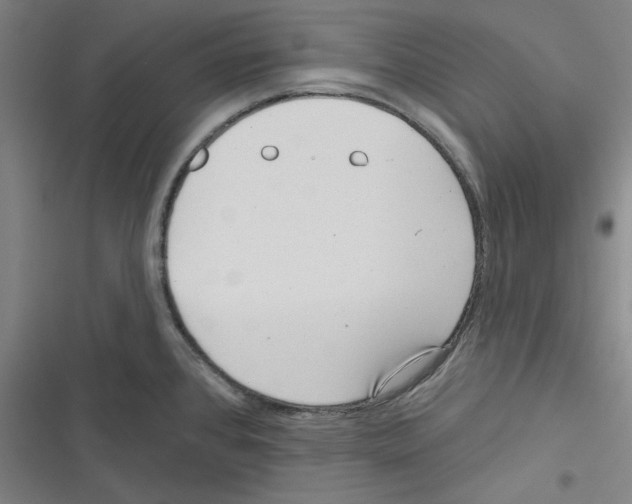 X0000116771384201001141441