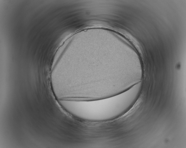X0000116771385201001141441