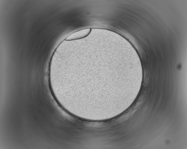 X0000116771387201001141441