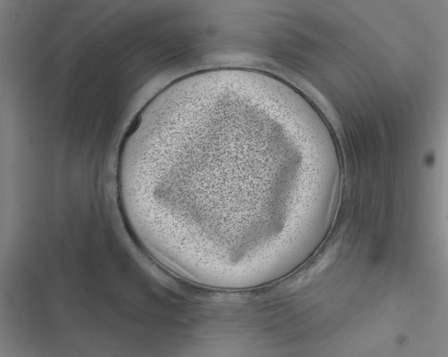 X0000116771389201001141441