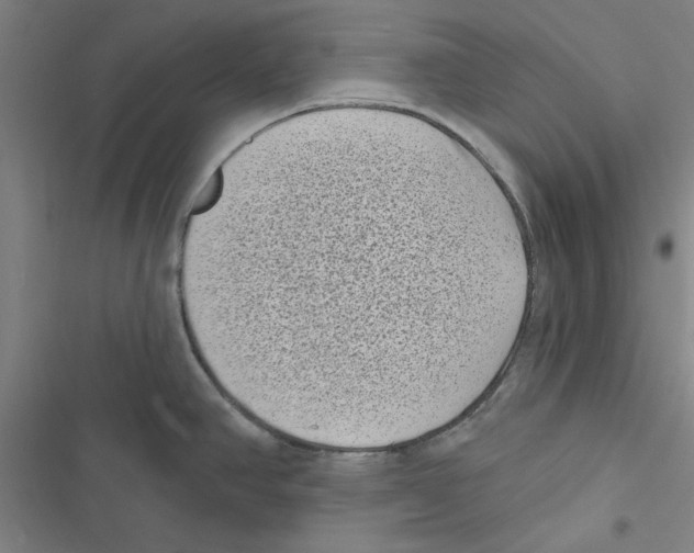 X0000116771390201001141441