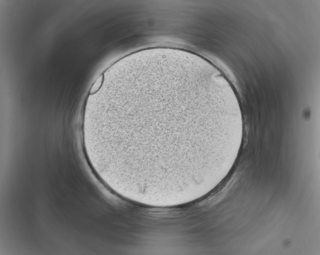 X0000116771391201001141441