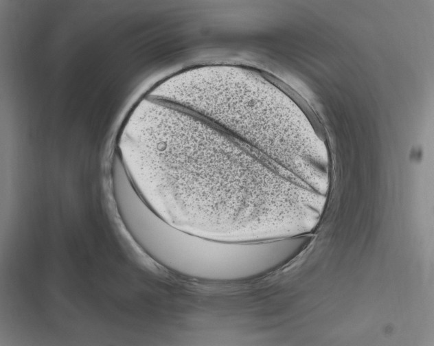 X0000116771392201001141441