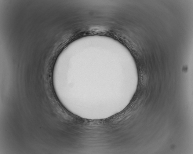 X0000116771393201001141441