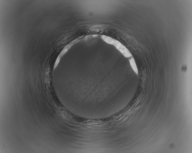 X0000116771394201001141441