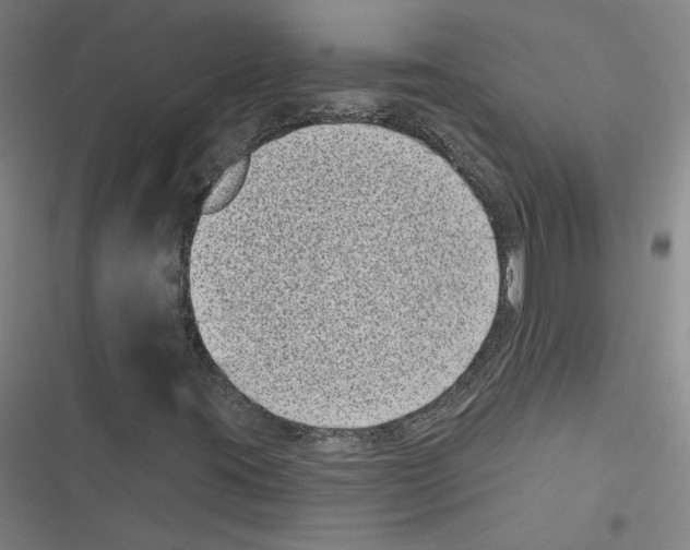 X0000116771395201001141441