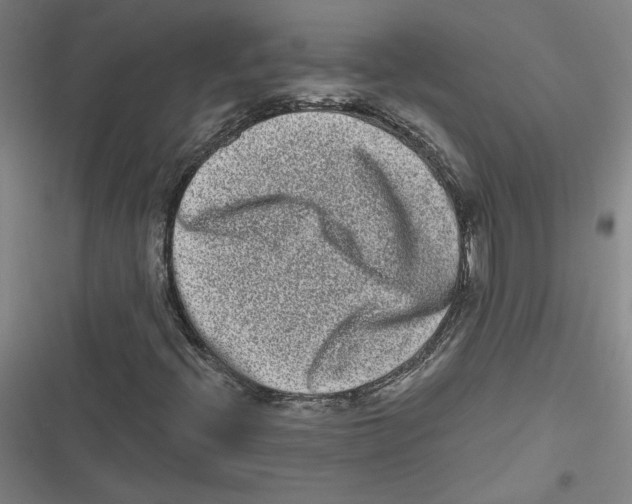 X0000116771396201001141441