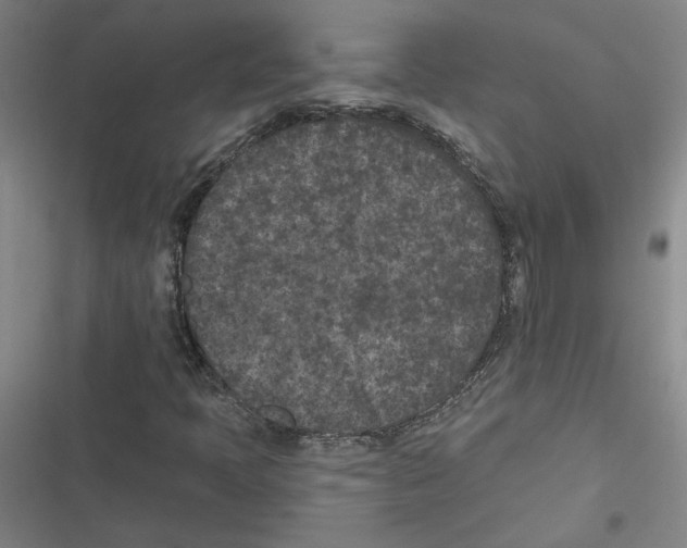 X0000116771397201001141441