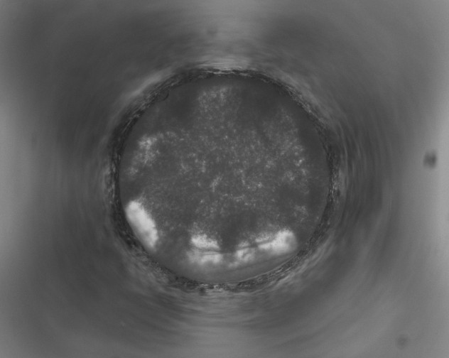 X0000116771398201001141441