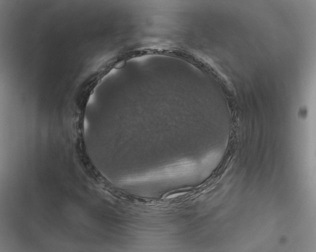 X0000116771399201001141441
