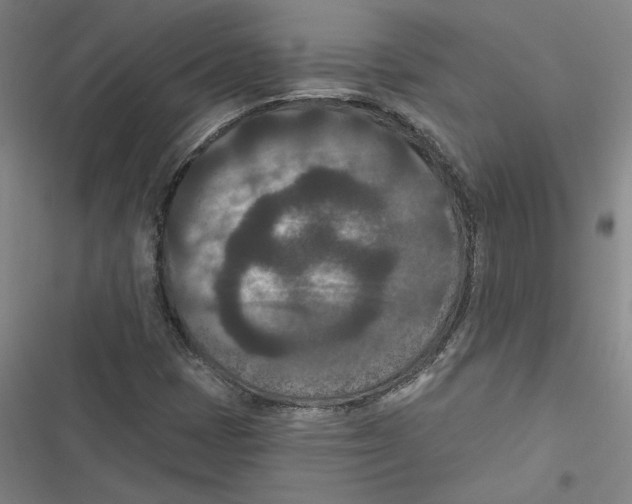 X0000116771401201001141441
