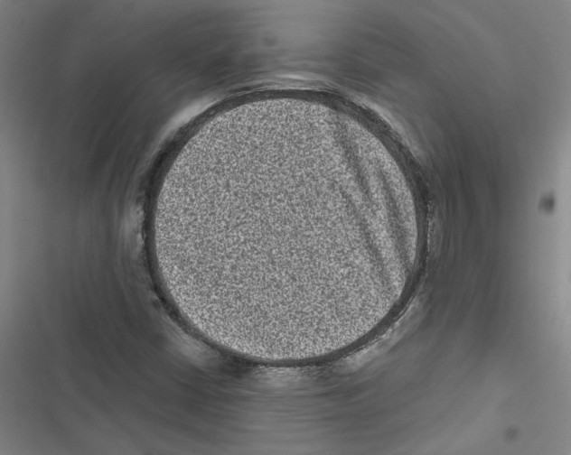 X0000116771402201001141441