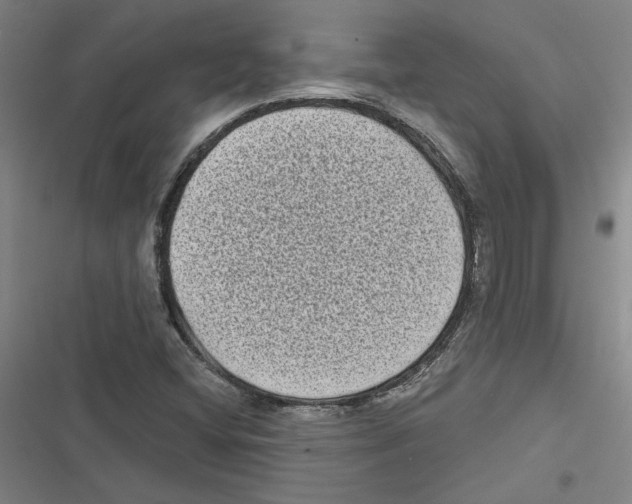 X0000116771404201001141441