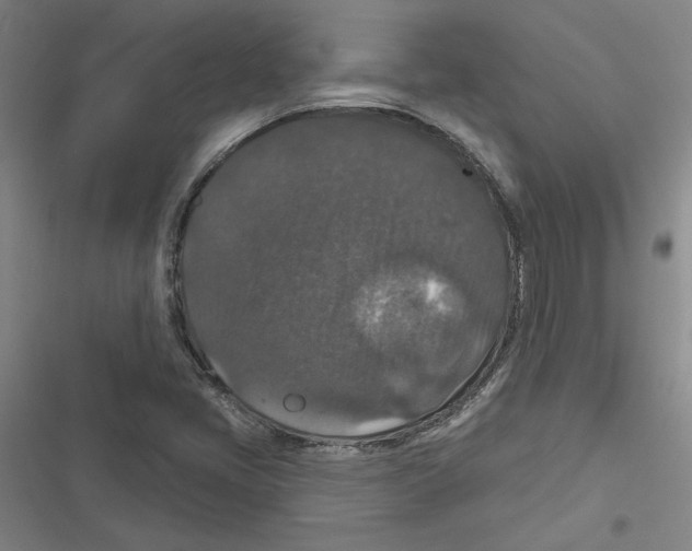 X0000116771405201001141441