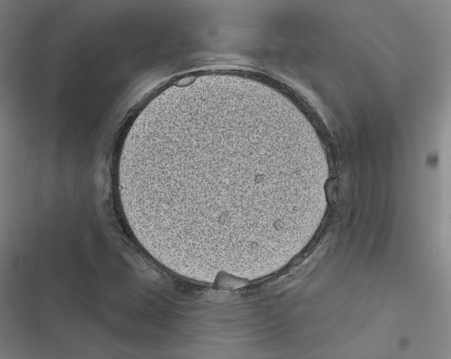 X0000116771407201001141441