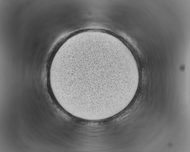 X0000116771408201001141441