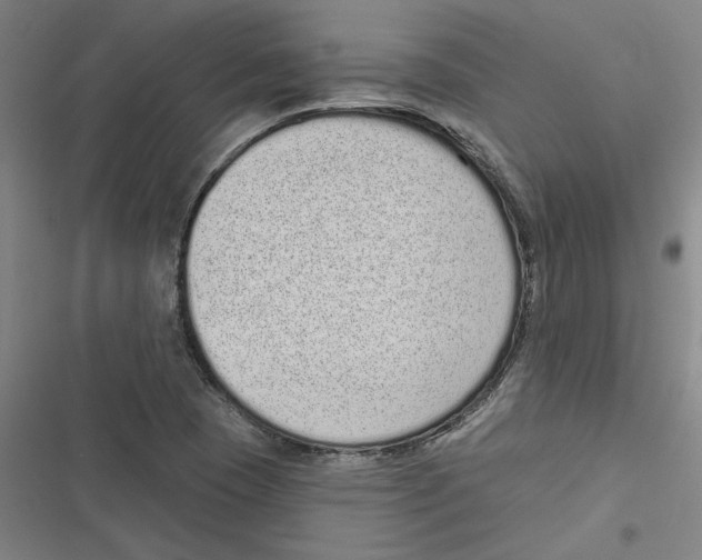 X0000116771409201001141441
