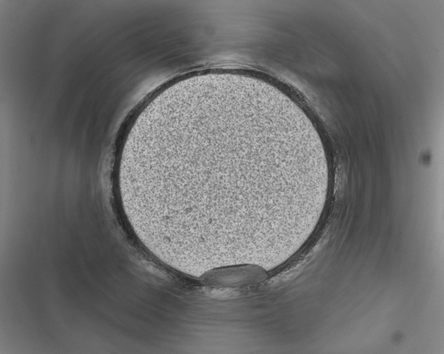 X0000116771410201001141441