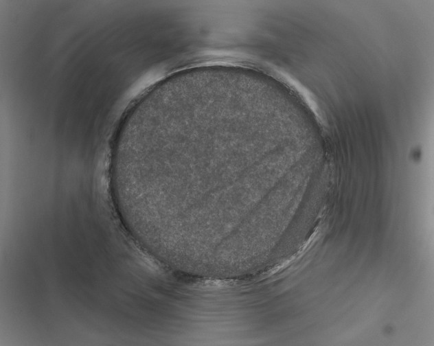 X0000116771411201001141441