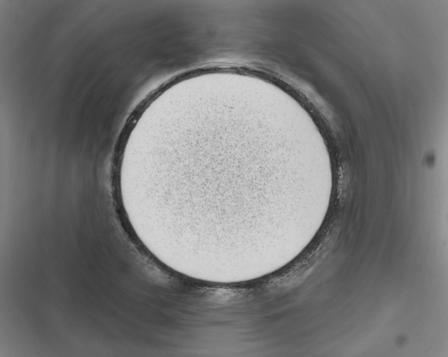 X0000116771412201001141441