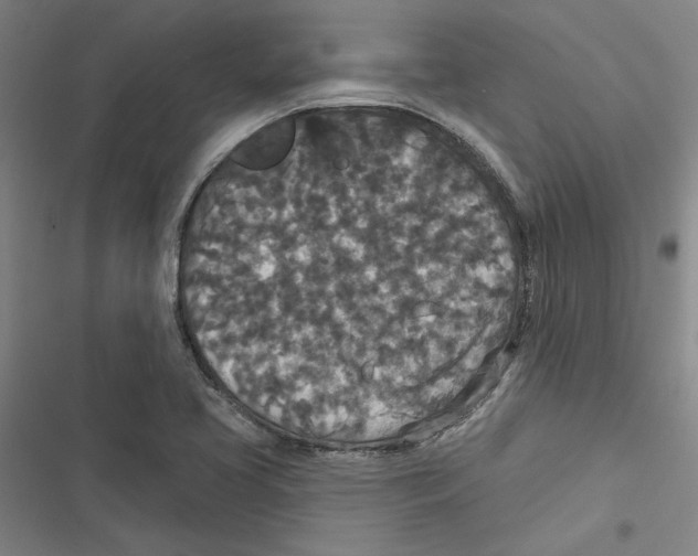X0000116771413201001141441