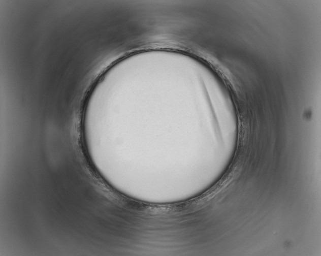 X0000116771415201001141441