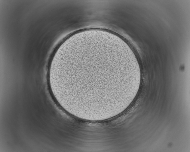 X0000116771416201001141441