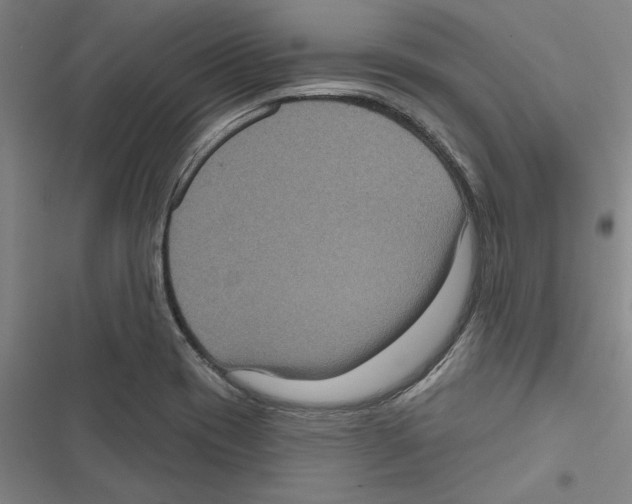X0000116771417201001141441