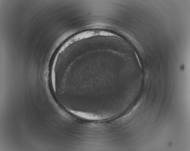 X0000116771418201001141441