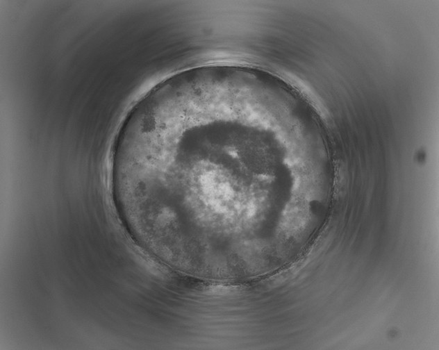 X0000116771419201001141441