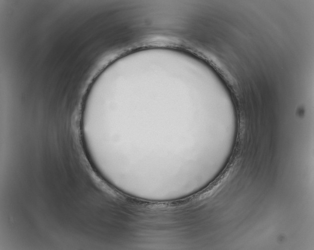 X0000116771421201001141441