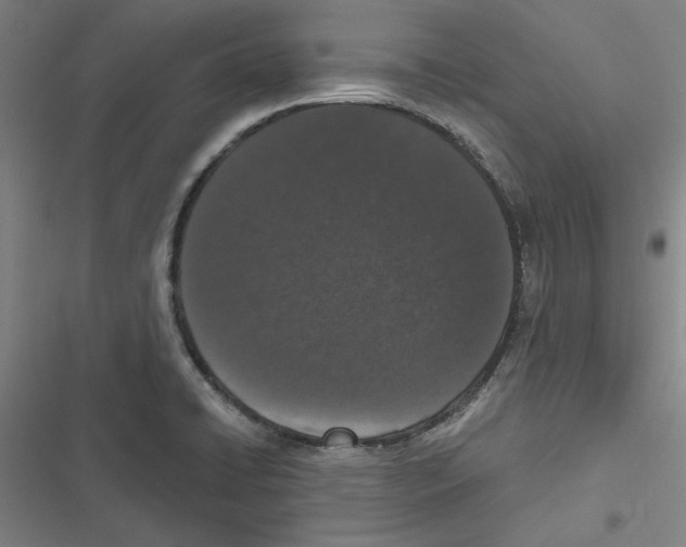 X0000116771422201001141441