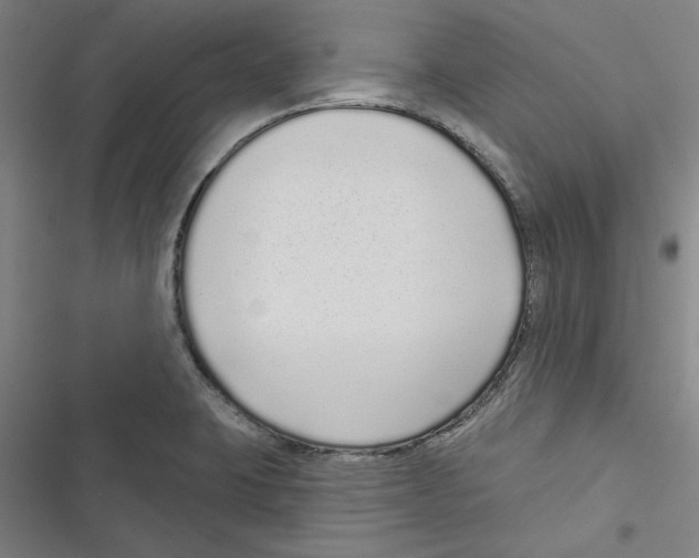 X0000116771423201001141441