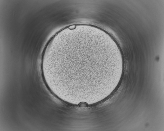 X0000116771424201001141441