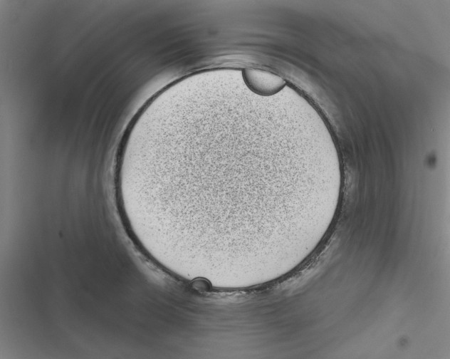 X0000116771426201001141441