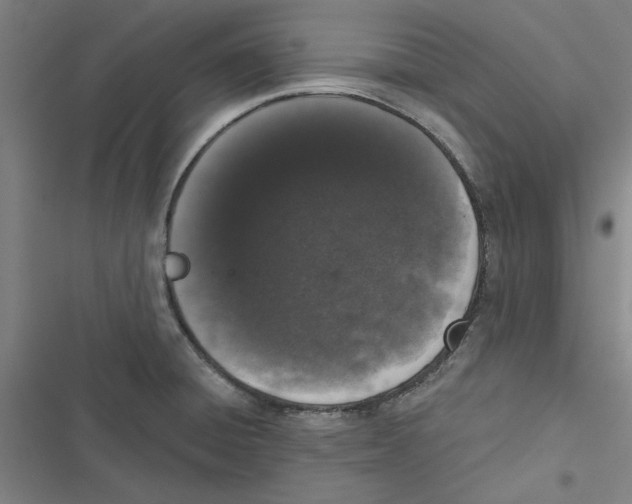 X0000116771428201001141441