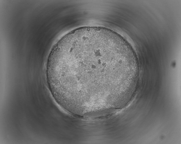 X0000116771429201001141441