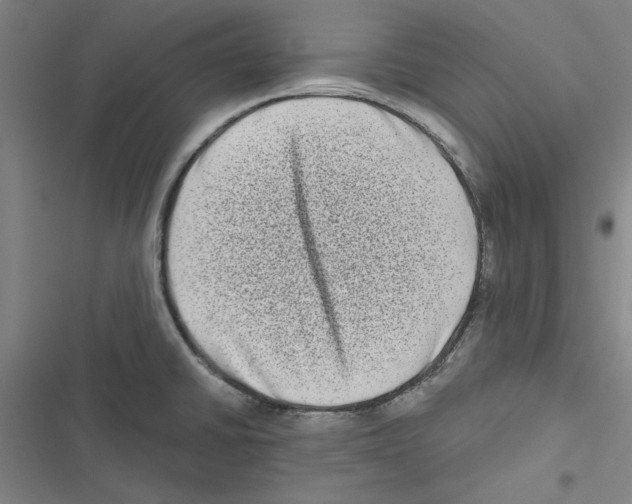 X0000116771430201001141441