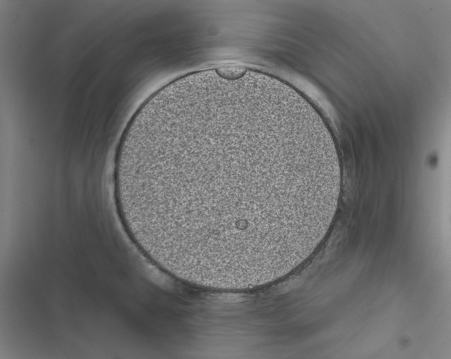 X0000116771431201001141441