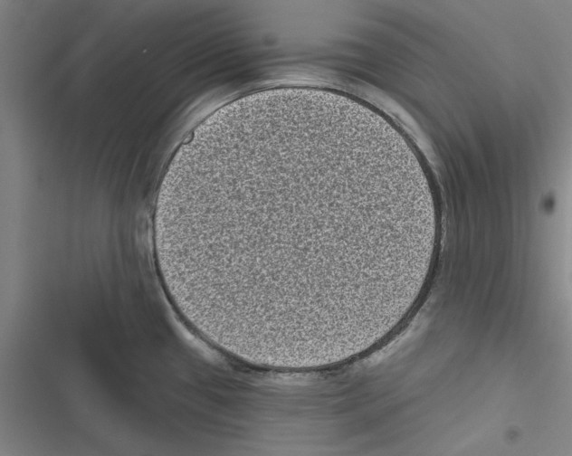 X0000116771433201001141441