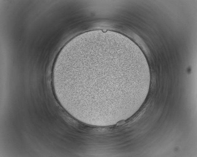 X0000116771435201001141441