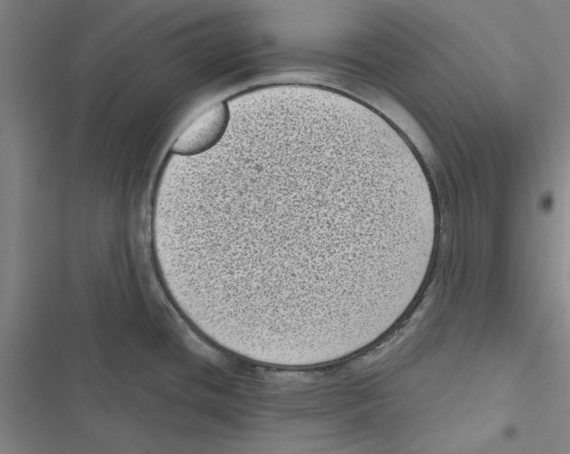 X0000116771436201001141441