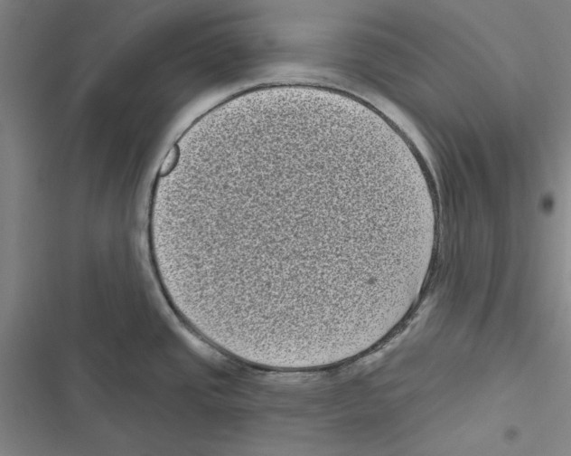 X0000116771437201001141441