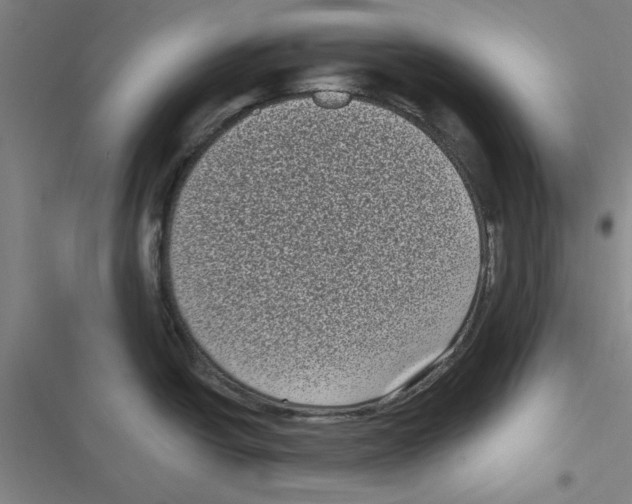X0000116771438201001141441