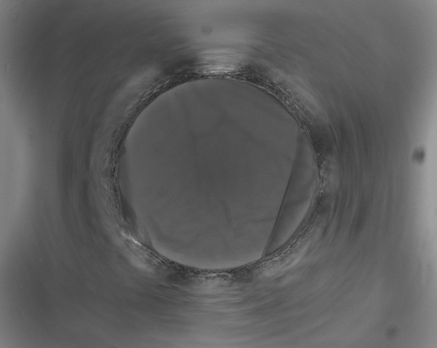 X0000116771441201001141441