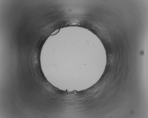 X0000116771442201001141441