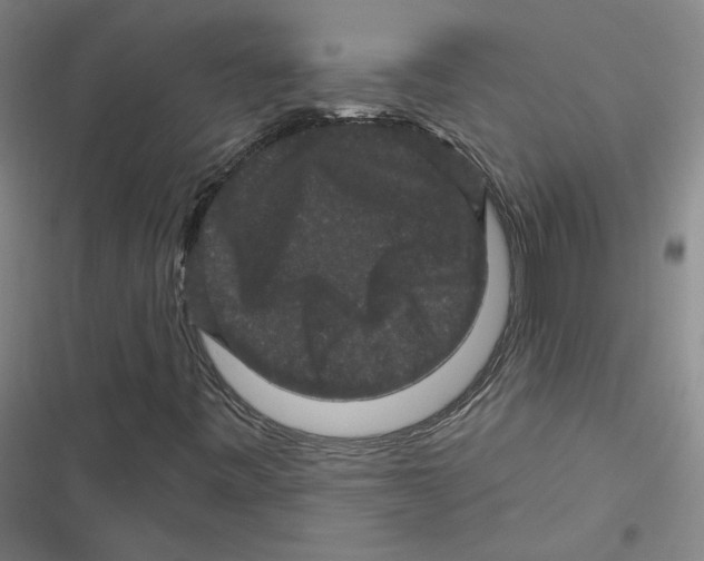 X0000116771443201001141441